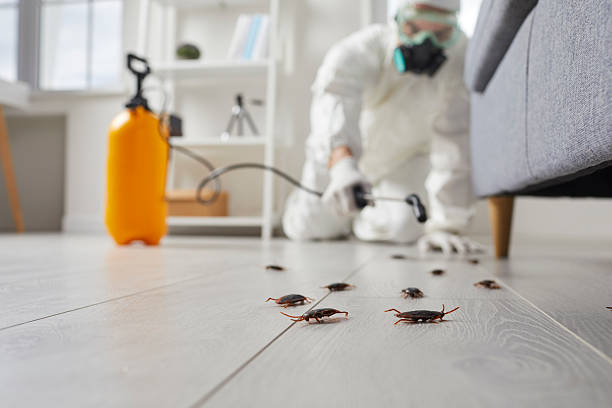 Post-Treatment Bed Bug Interceptor Monitoring in Mooreland