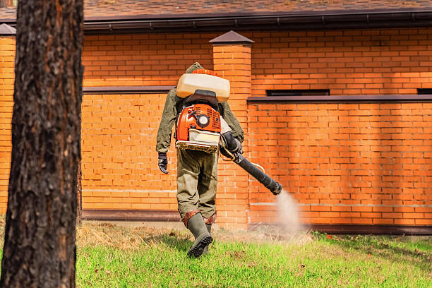 Bed Bug Clearance Verification and Documentation in Mooreland